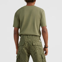 Park Cargo-Shorts | Deep Lichen Magic Carpet