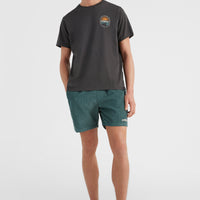 Camorro Cord-Shorts | North Atlantic