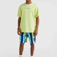 Brights Terry Shorts | Blue Towel Stripe