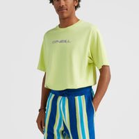 Brights Terry Shorts | Blue Towel Stripe