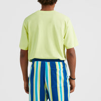 Brights Terry Shorts | Blue Towel Stripe