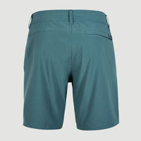 Easton Cargo 17'' Hybrid Shorts | North Atlantic