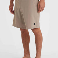 O'Neill Hybrid Chino-Shorts | Pumpkin Smoke