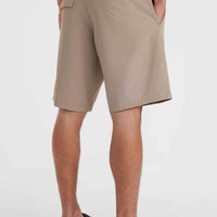 O'Neill Hybrid Chino-Shorts | Pumpkin Smoke