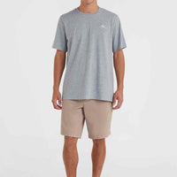 Essentials Chino-Shorts | Pumpkin Smoke