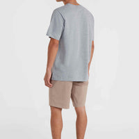 Essentials Chino-Shorts | Pumpkin Smoke