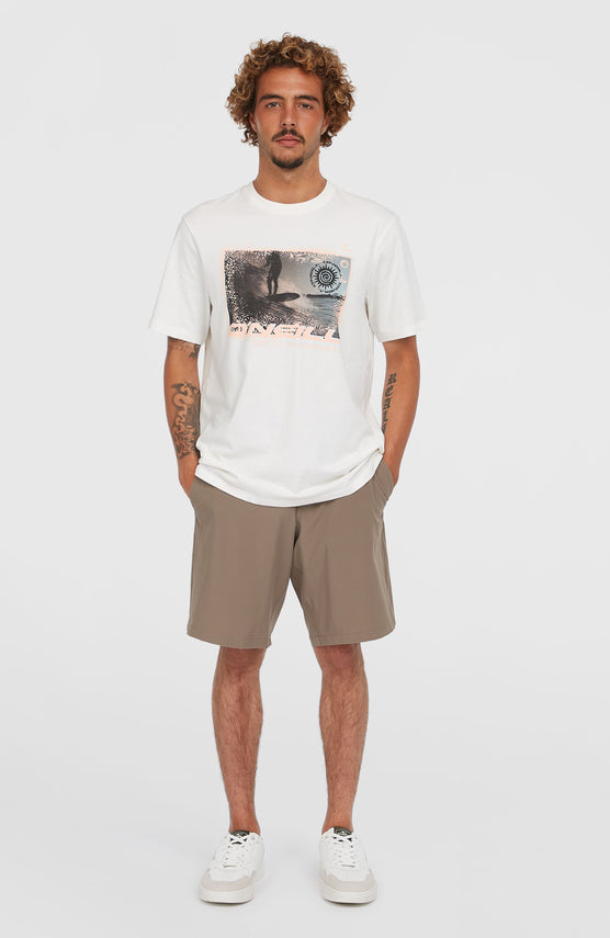Hybrid 19'' Chino-Shorts | Pure Cashmere