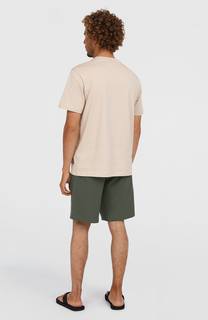 Hybrid 19" Chino-Shorts | Raven