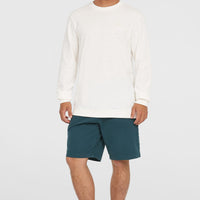 Essentials Chino-Shorts | Alma Steel