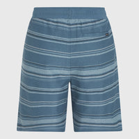 Bavaro Shorts | Blue Bavaro Stripe