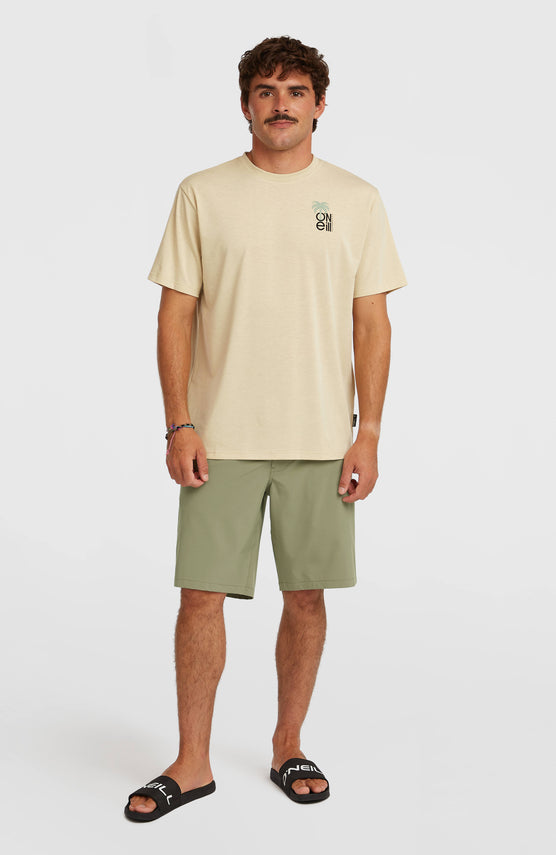 Hybrid 19'' Shorts | Avery Fern