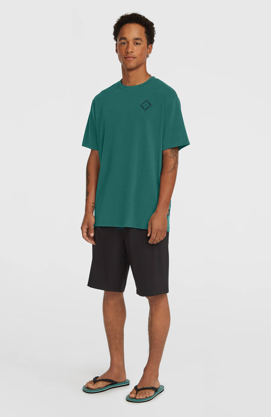 Hybrid 19'' Shorts | Black Out