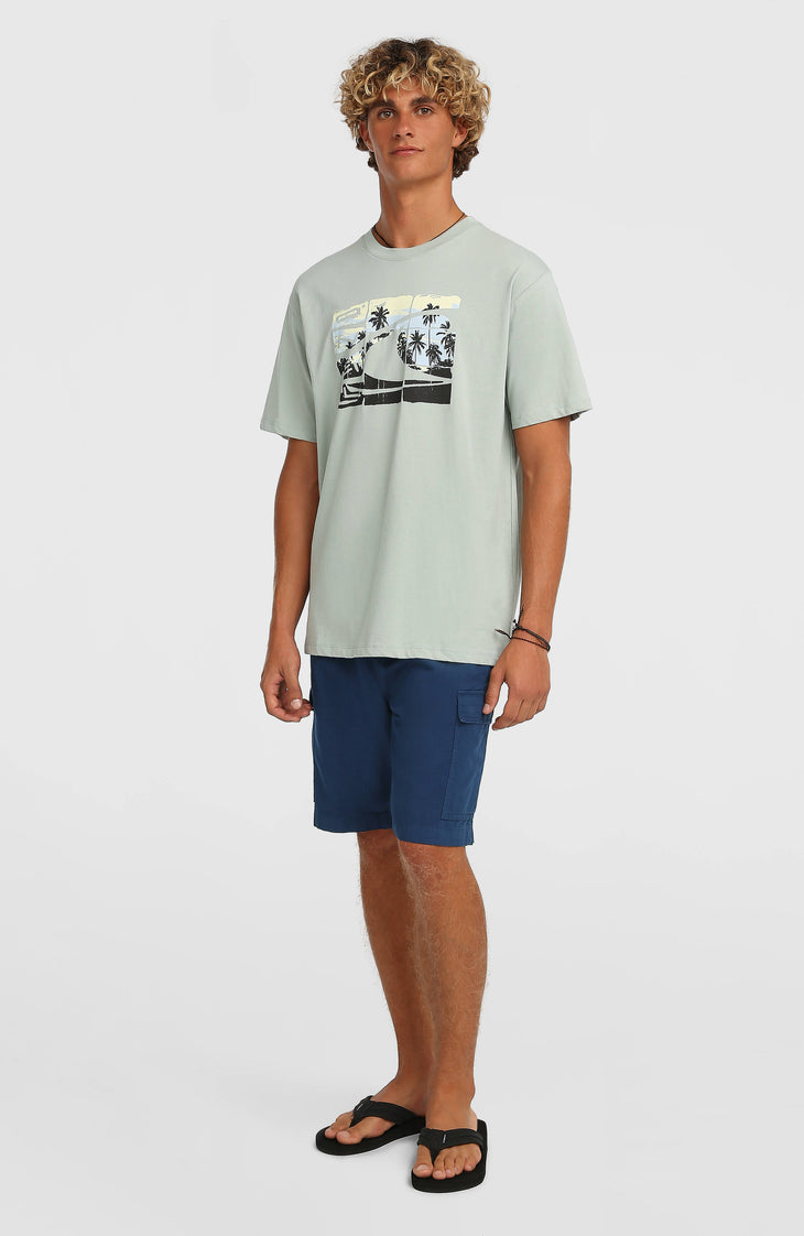 O'Neill Essentials Ripstop Cargo-Shorts | English Evening