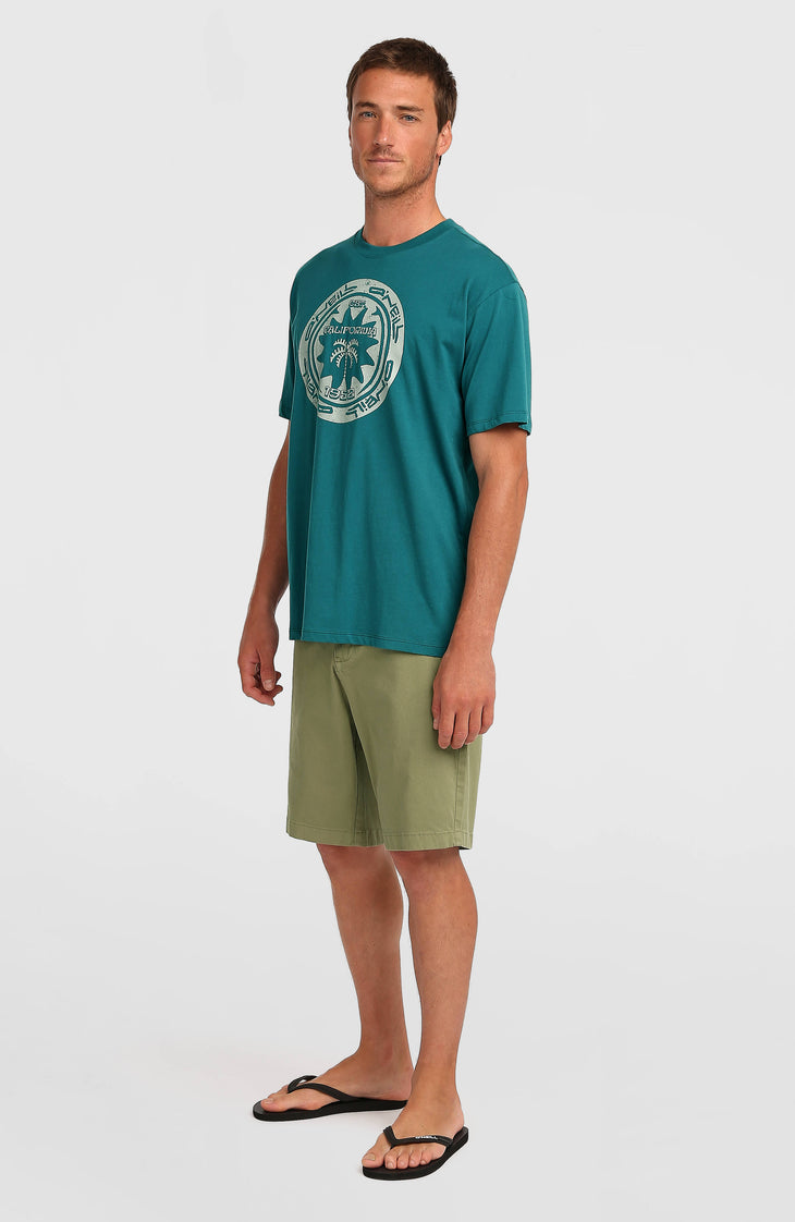 Essentials Chino-Shorts | Avery Fern