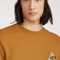 Torrey Crew Sweatshirt | Rich Caramel