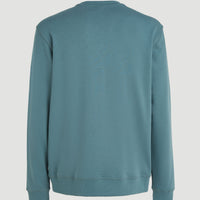 Small Logo Crew Sweatshirt | North Atlantic