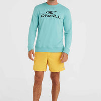 O'Neill Logo Crew Sweatshirt | Ripling Shores