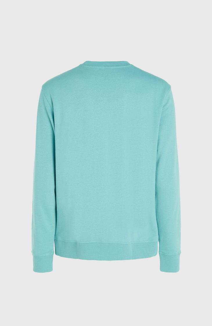 O'Neill Logo Crew Sweatshirt | Ripling Shores