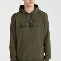 O'Neill Logo Kapuzen-Pullover | Forest Night