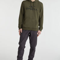 O'Neill Logo Kapuzen-Pullover | Forest Night