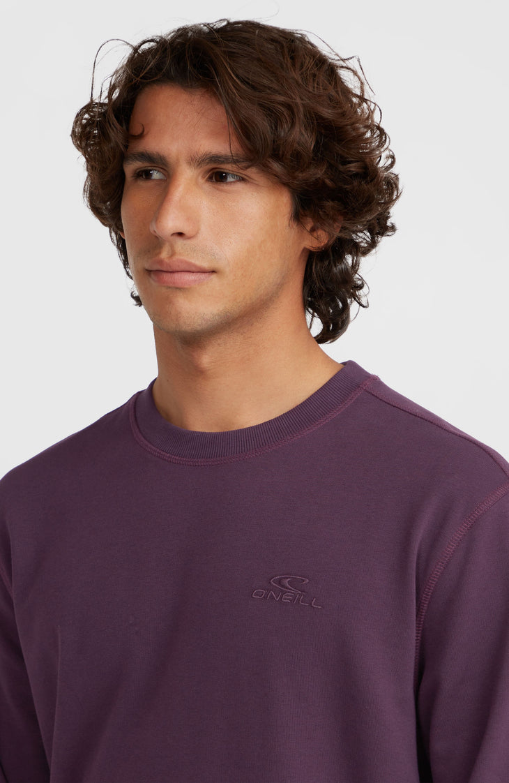 Small Logo Crew Sweatshirt | Aubergine
