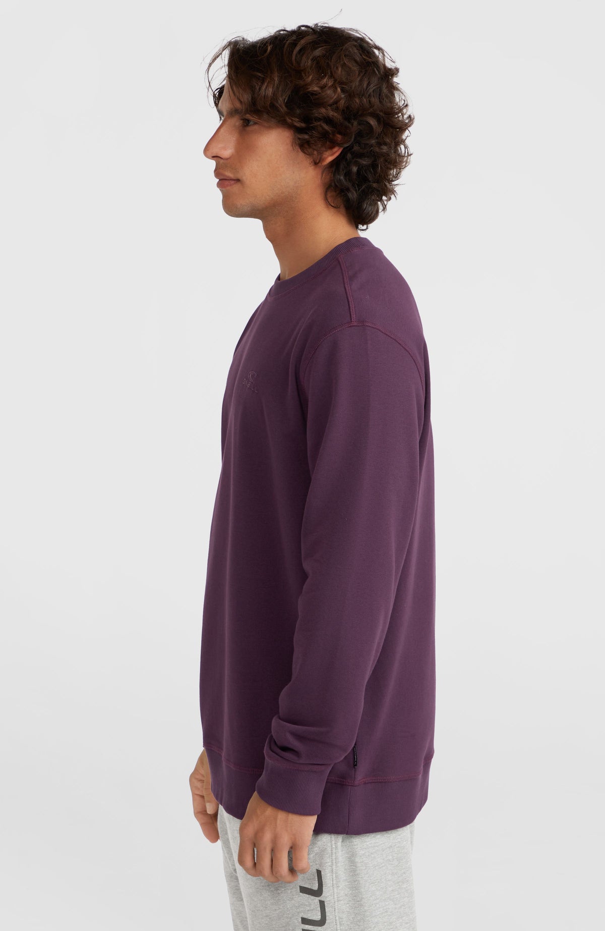 Small Logo Crew Sweatshirt | Aubergine