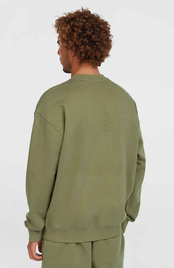 Future Surf Society Crew Sweatshirt | Avery Fern