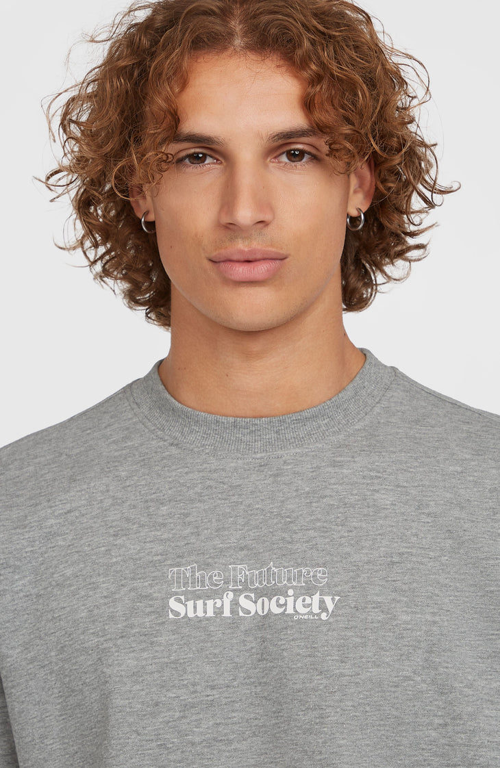 Future Surf Society Crew Sweatshirt | Silver Melee