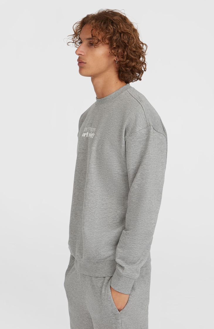 Future Surf Society Crew Sweatshirt | Silver Melee