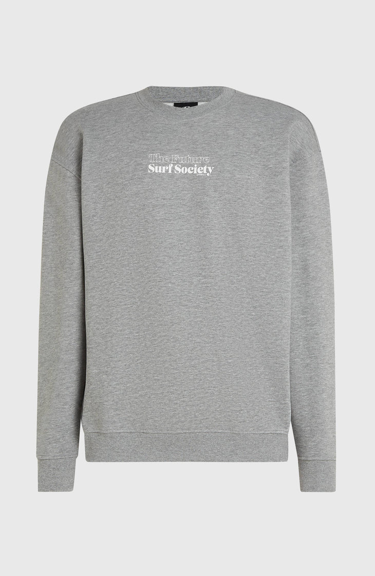 Future Surf Society Crew Sweatshirt | Silver Melee