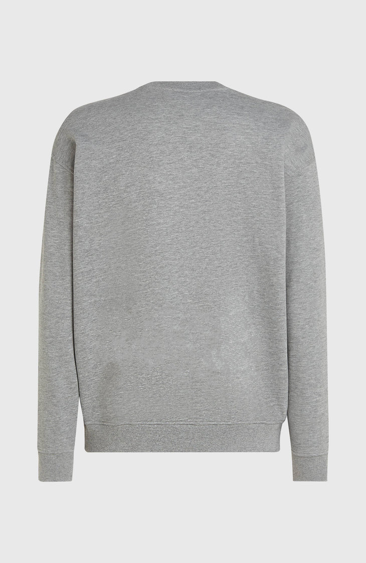 Future Surf Society Crew Sweatshirt | Silver Melee