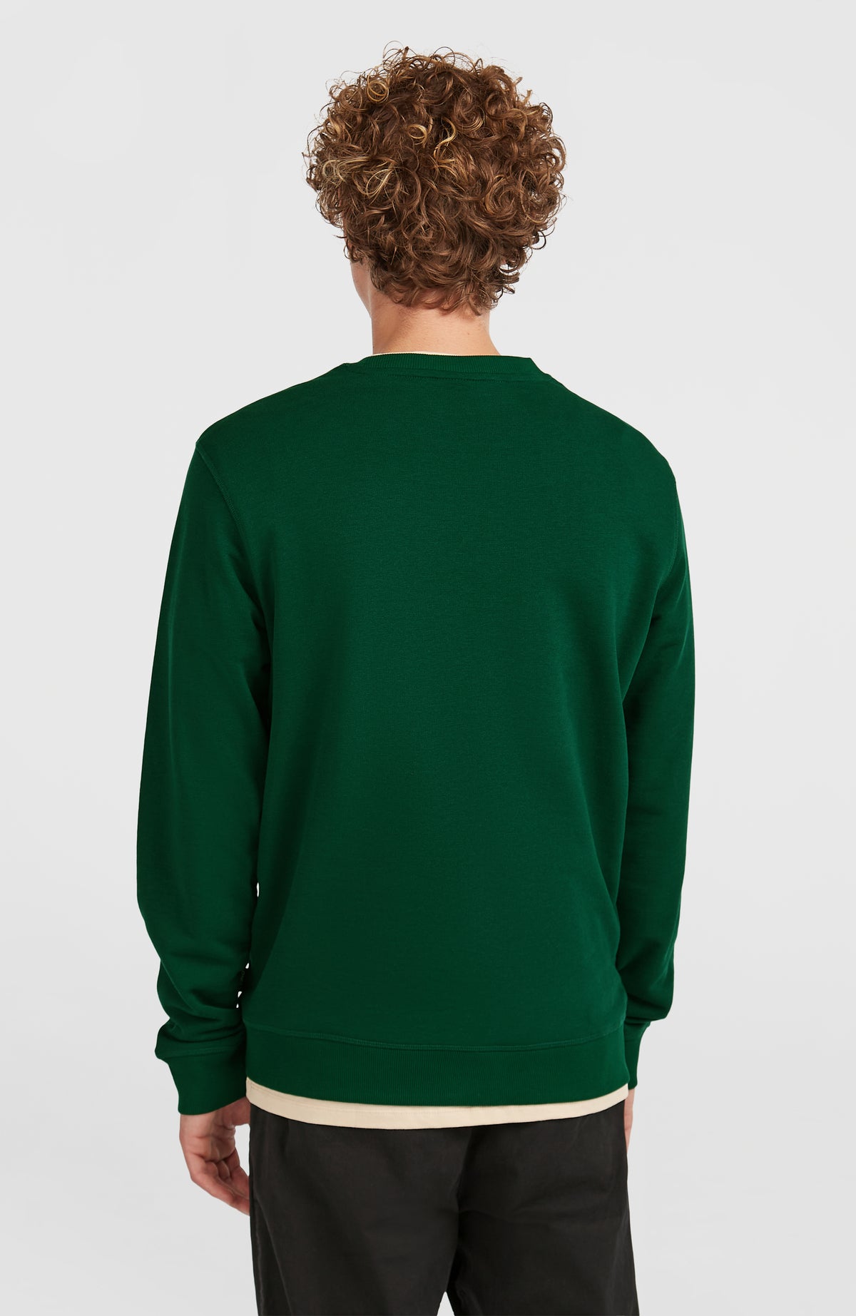 Small Logo Crew Sweatshirt | Emerald Envy