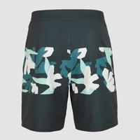 Hyperfreak Camorro 17'' Boardshorts | Grey Art Flower