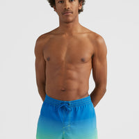 Cali Gradient 15'' Badehose | Dark Blue Simple Gradient