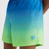 Cali Gradient 15'' Badehose | Dark Blue Simple Gradient