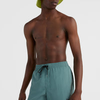 Cali FSS 16'' Badehose | North Atlantic