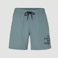 Cali FSS 16'' Badehose | North Atlantic