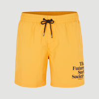 Cali FSS 16'' Badehose | Nugget