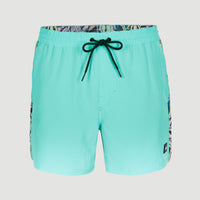 Coast Ocean 15'' Badehose | Blue Topaz