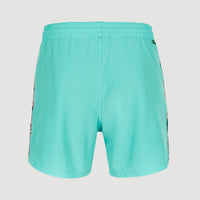 Coast Ocean 15'' Badehose | Blue Topaz