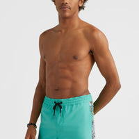 Coast Ocean 15'' Badehose | Sea Green