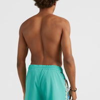 Coast Ocean 15'' Badehose | Sea Green