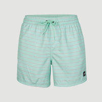 Cali First 15'' Badehose | Light Blue First In