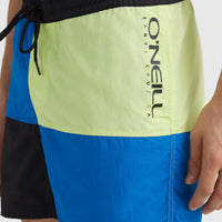 Wilder Colourblock 16'' Badehose | Princess Blue Colour Block