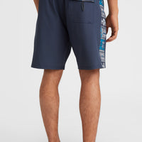 Mysto Side Panel 18'' Boardshorts | Outer Space