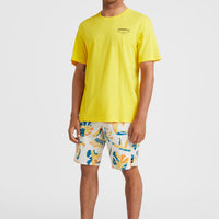 Mysto 20'' Boardshorts | Birch