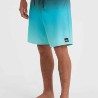 Hyperfreak Heat Fade 19'' Boardshorts | Black Heat Fade