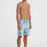 Hyperfreak Mysto Scallop 19'' Boardshorts | Blue Sky Mysto Scallop