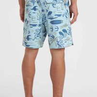 Hyperfreak Mysto Scallop 19'' Boardshorts | Blue Sky Mysto Scallop