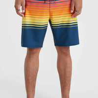 Hyperfreak Heat Stripe Line 19'' Boardshorts | Indigo Stripe Panel